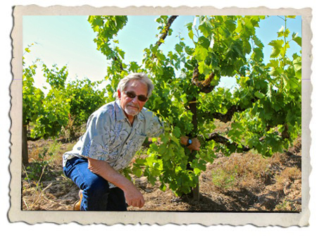 Bud Bradley pictured with grape vines